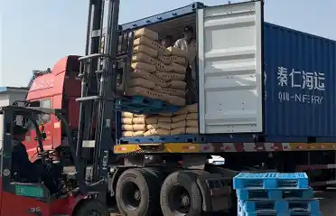 Bakit Nag-aangkat ang mga Mamimili ng South Korean ng Sweet Potato Starch mula sa Lulong? Isang Pagtingin sa Proseso ng Pag-load at Pagpapadala sa Tongyou Potato Industry